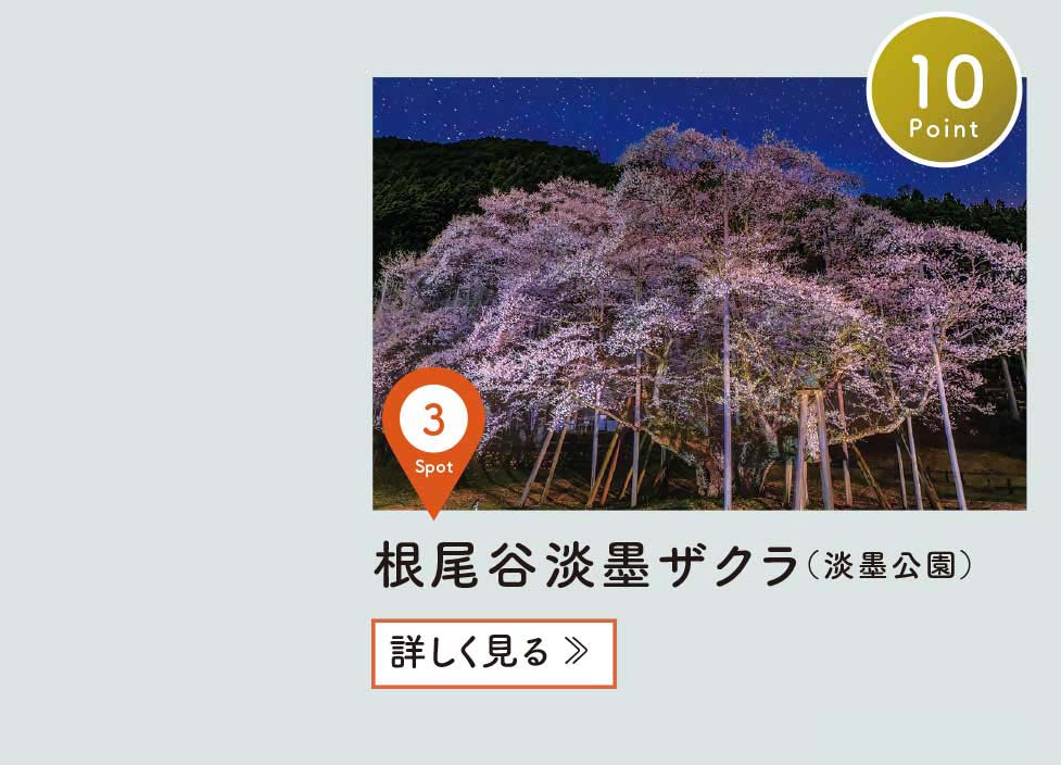 スポット案内03