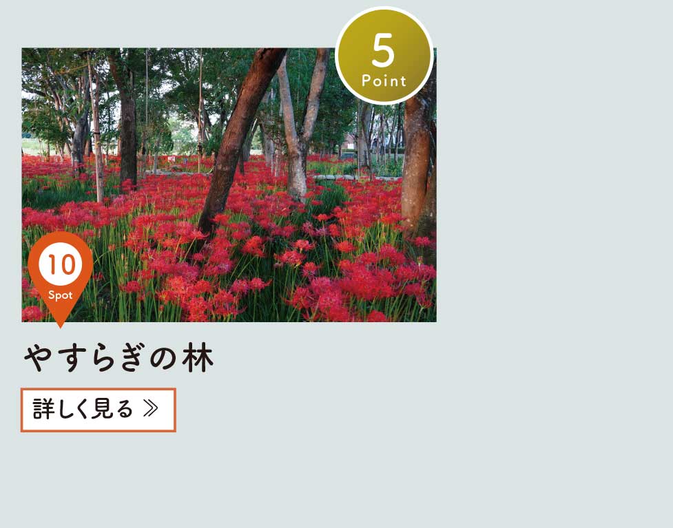 スポット案内10