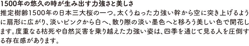 スタンプスポット